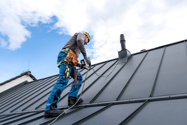 Best Solar Panel Roofing Installation  in Clear Lake Shores, TX